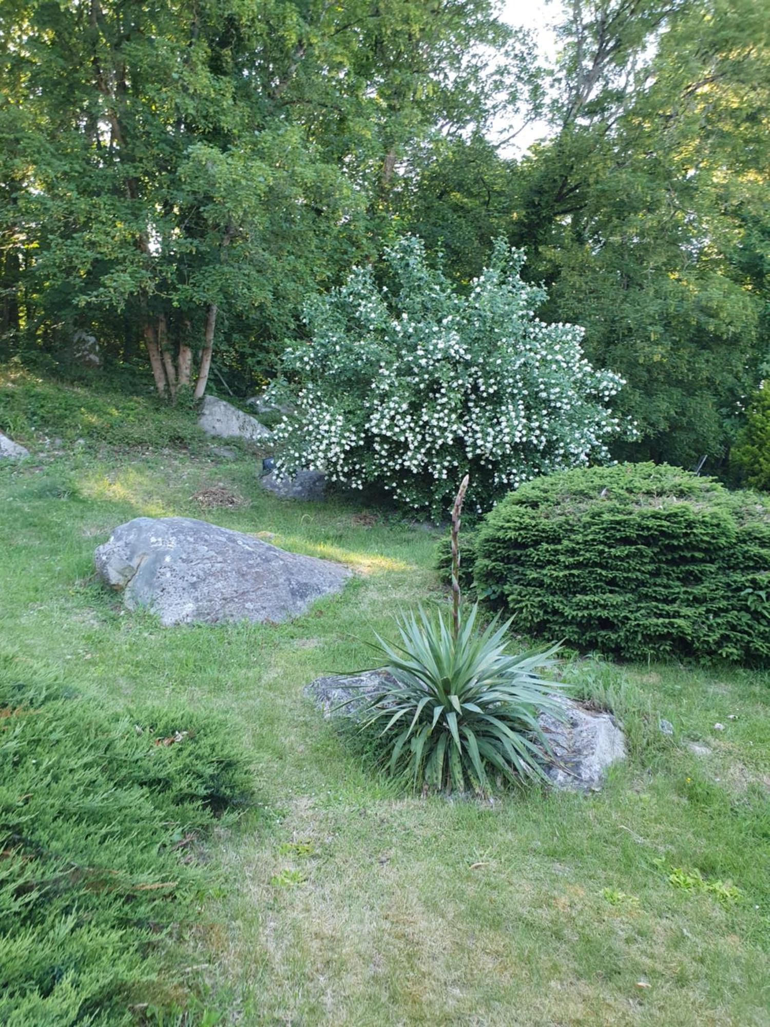 Le Jardin Des Roches Panzió Moigny Kültér fotó
